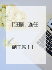 汪顺，连任副主席！