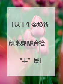 沃土生金焕新颜 粮烟融合绘“丰”景