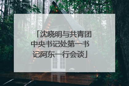 沈晓明与共青团中央书记处第一书记阿东一行会谈