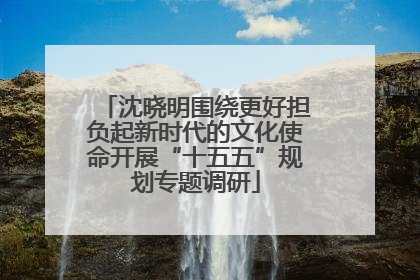 沈晓明围绕更好担负起新时代的文化使命开展“十五五”规划专题调研