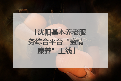 沈阳基本养老服务综合平台“盛情康养”上线