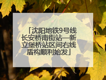 沈阳地铁9号线长安桥南街站—新立堡桥站区间右线盾构顺利始发