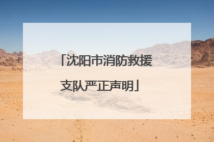沈阳市消防救援支队严正声明