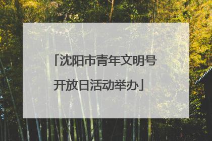 沈阳市青年文明号开放日活动举办