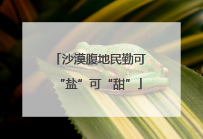 沙漠腹地民勤可“盐”可“甜”