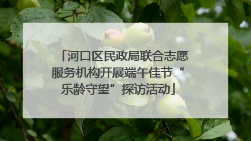 河口区民政局联合志愿服务机构开展端午佳节“乐龄守望”探访活动