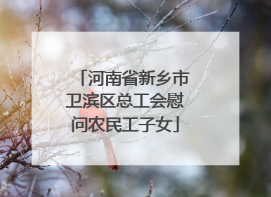 河南省新乡市卫滨区总工会慰问农民工子女