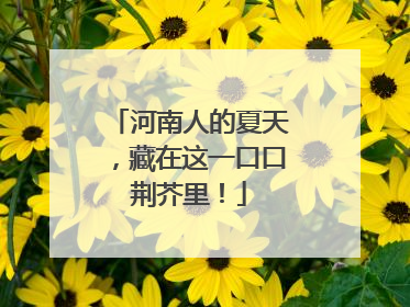河南人的夏天，藏在这一口口荆芥里！