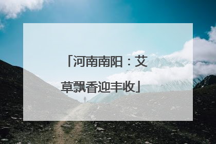 河南南阳：艾草飘香迎丰收