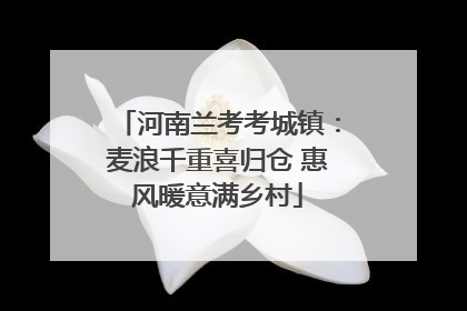 河南兰考考城镇：麦浪千重喜归仓 惠风暖意满乡村