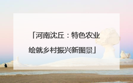 河南沈丘：特色农业绘就乡村振兴新图景