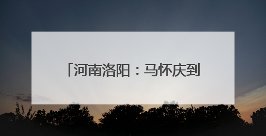 河南洛阳：马怀庆到偃师区指导调研防汛综合应急演练等工作
