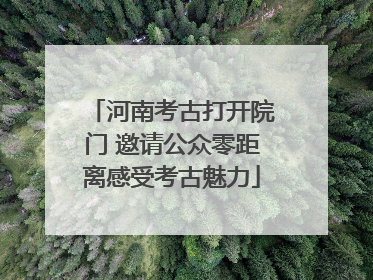 河南考古打开院门 邀请公众零距离感受考古魅力
