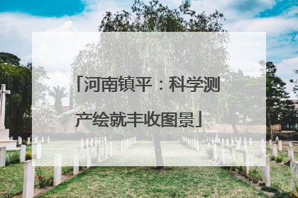 河南镇平：科学测产绘就丰收图景