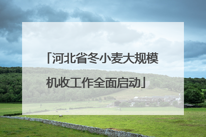 河北省冬小麦大规模机收工作全面启动