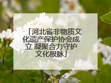 河北省非物质文化遗产保护协会成立 凝聚合力守护文化根脉