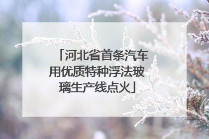 河北省首条汽车用优质特种浮法玻璃生产线点火