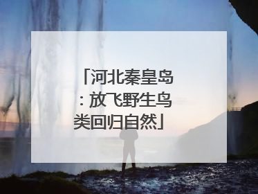 河北秦皇岛：放飞野生鸟类回归自然