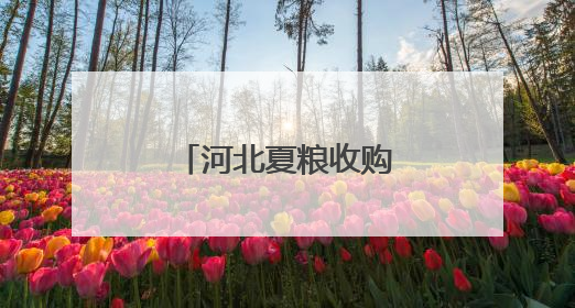 河北夏粮收购工作高效推进