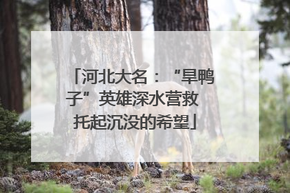 河北大名：“旱鸭子”英雄深水营救 托起沉没的希望