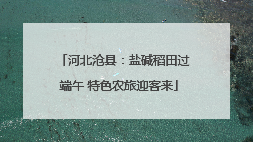 河北沧县：盐碱稻田过端午 特色农旅迎客来