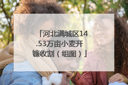 河北满城区14.53万亩小麦开镰收割（组图）