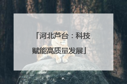 河北芦台：科技赋能高质量发展