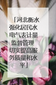 河北衡水强化居民水电气表计量监督管理 切实提高服务质量和水平