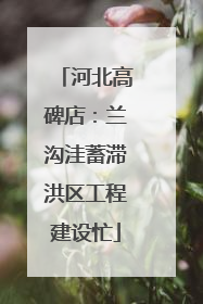 河北高碑店：兰沟洼蓄滞洪区工程建设忙