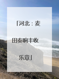 河北：麦田奏响丰收乐章