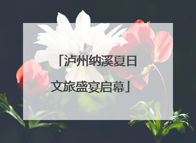 泸州纳溪夏日文旅盛宴启幕
