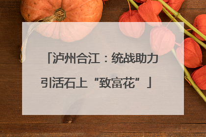 泸州合江：统战助力引活石上“致富花”