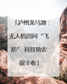 泸州龙马潭：无人机田间“飞防” 科技助农保丰收