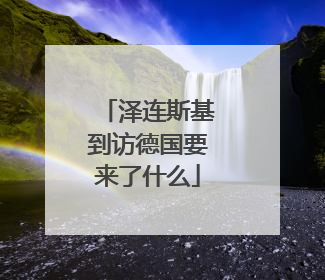 泽连斯基到访德国要来了什么