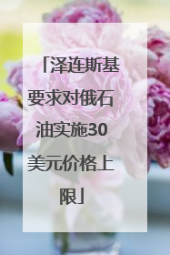 泽连斯基要求对俄石油实施30美元价格上限