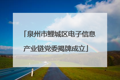 泉州市鲤城区电子信息产业链党委揭牌成立