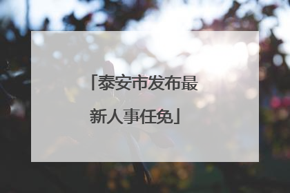 泰安市发布最新人事任免