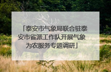 泰安市气象局联合驻泰安市省派工作队开展气象为农服务专题调研