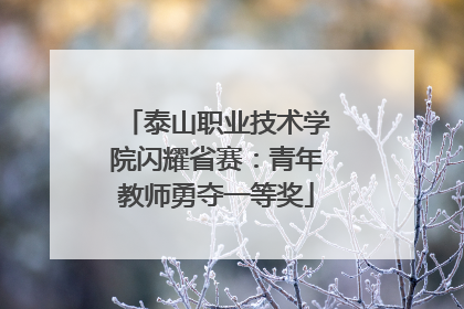 泰山职业技术学院闪耀省赛：青年教师勇夺一等奖