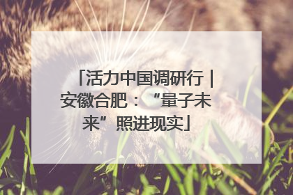 活力中国调研行｜安徽合肥：“量子未来”照进现实