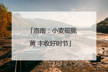 洛南：小麦覆陇黄 丰收好时节