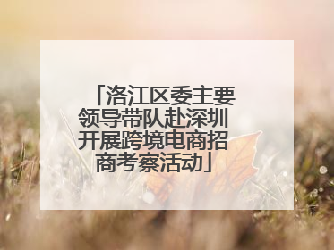 洛江区委主要领导带队赴深圳开展跨境电商招商考察活动