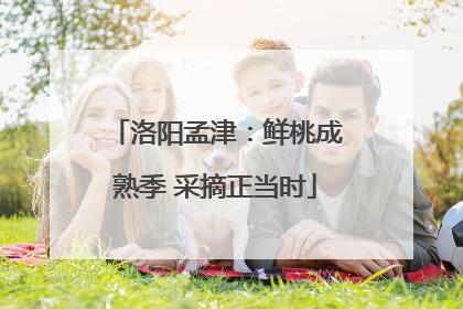 洛阳孟津：鲜桃成熟季 采摘正当时