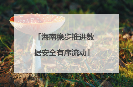 海南稳步推进数据安全有序流动