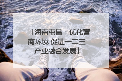 海南屯昌：优化营商环境 促进一二三产业融合发展