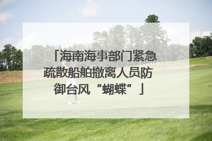 海南海事部门紧急疏散船舶撤离人员防御台风“蝴蝶”