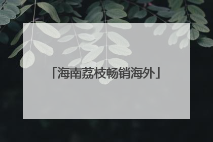 海南荔枝畅销海外