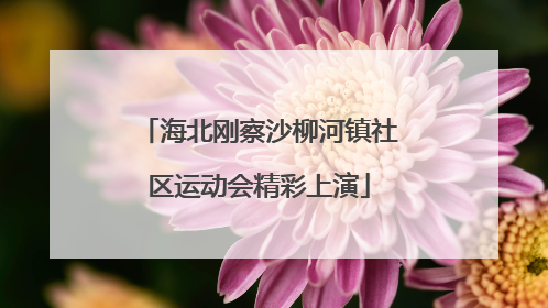 海北刚察沙柳河镇社区运动会精彩上演