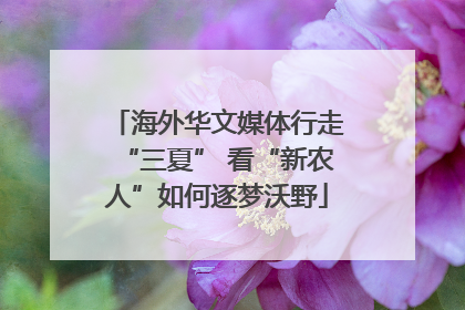 海外华文媒体行走“三夏” 看“新农人”如何逐梦沃野