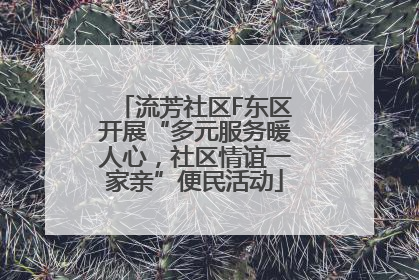 流芳社区F东区开展“多元服务暖人心，社区情谊一家亲”便民活动